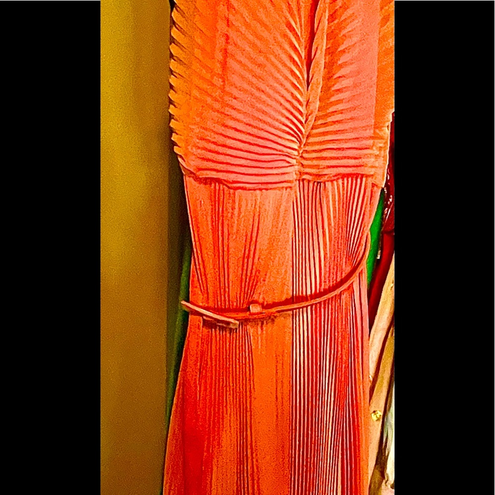Simply gorgeous salmon coral color